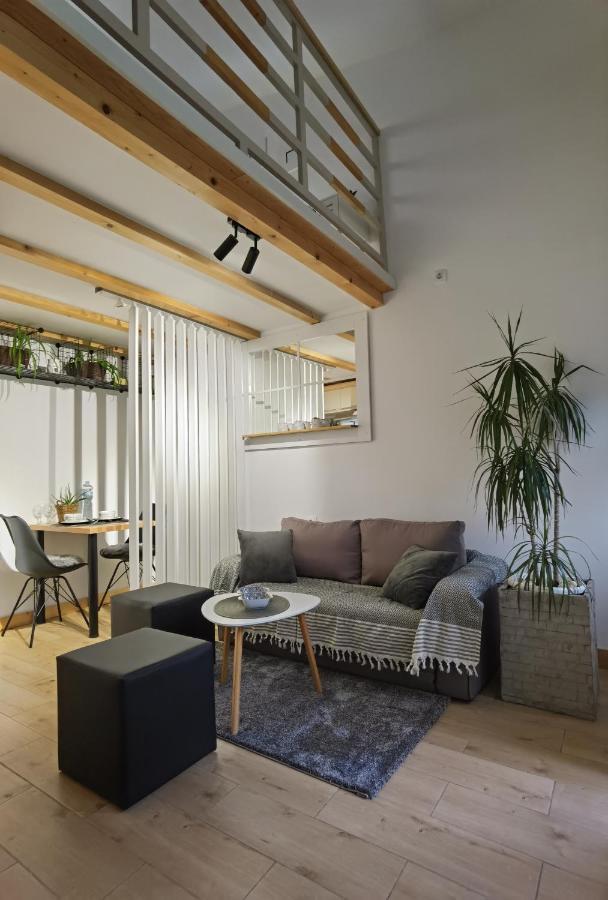 Zona Apartments 1 ซเรนยานิน ภายนอก รูปภาพ